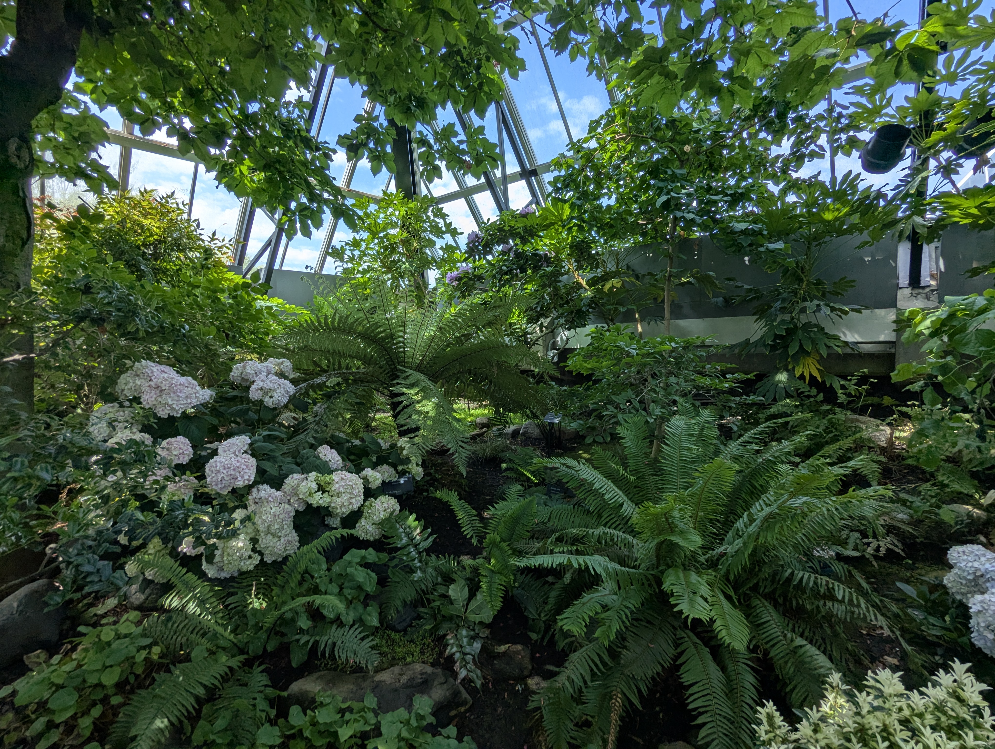 Birthday Trip to Canada, Edmonton, Pyramids, Muttart Observatory